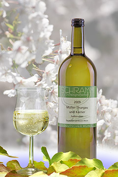 Mueller Thurgau