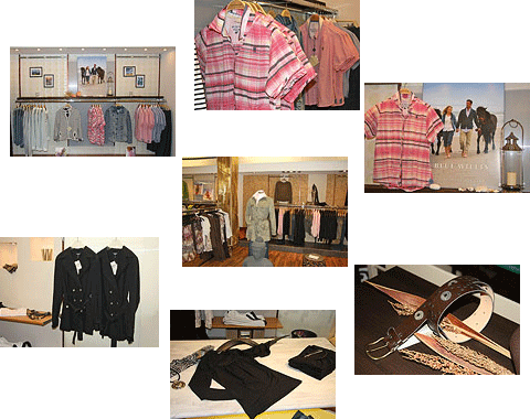 Lady's Fashion